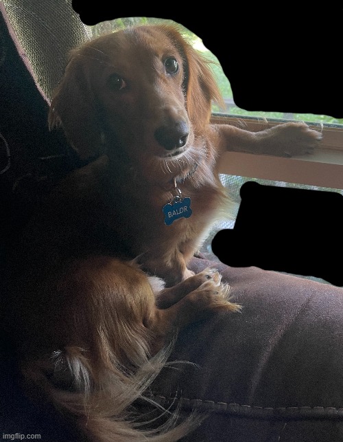 Blud thinks he's a person | made w/ Imgflip meme maker