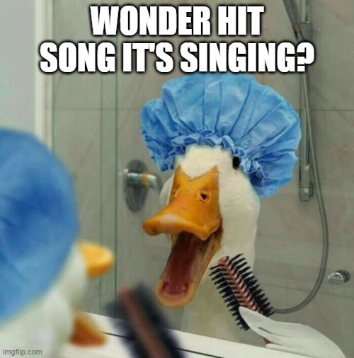 Duck Sync | WONDER HIT SONG IT'S SINGING? | image tagged in funny ducks | made w/ Imgflip meme maker