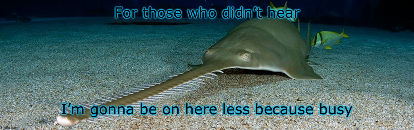 Cool sawfish | For those who didn’t hear; I’m gonna be on here less because busy | image tagged in cool sawfish | made w/ Imgflip meme maker