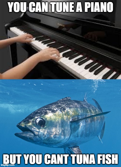 Actual REO Speedwagon Album Title | YOU CAN TUNE A PIANO; BUT YOU CANT TUNA FISH | image tagged in piano,tuna fish | made w/ Imgflip meme maker