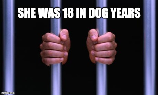 she was though | SHE WAS 18 IN DOG YEARS | image tagged in prison bars,child molester,dark humor,funny,memes,funny memes | made w/ Imgflip meme maker