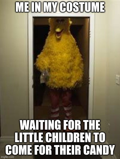 drug-infused for extra fun! | ME IN MY COSTUME; WAITING FOR THE LITTLE CHILDREN TO COME FOR THEIR CANDY | image tagged in big bird door | made w/ Imgflip meme maker