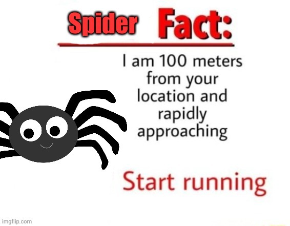 Spider fact | image tagged in spider fact | made w/ Imgflip meme maker