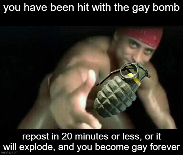RICARDO MILOS | you have been hit with the gay bomb; repost in 20 minutes or less, or it will explode, and you become gay forever | image tagged in ricardo milos | made w/ Imgflip meme maker