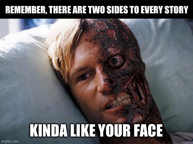 Two Faces | REMEMBER, THERE ARE TWO SIDES TO EVERY STORY; KINDA LIKE YOUR FACE | image tagged in two face,story,facts | made w/ Imgflip meme maker