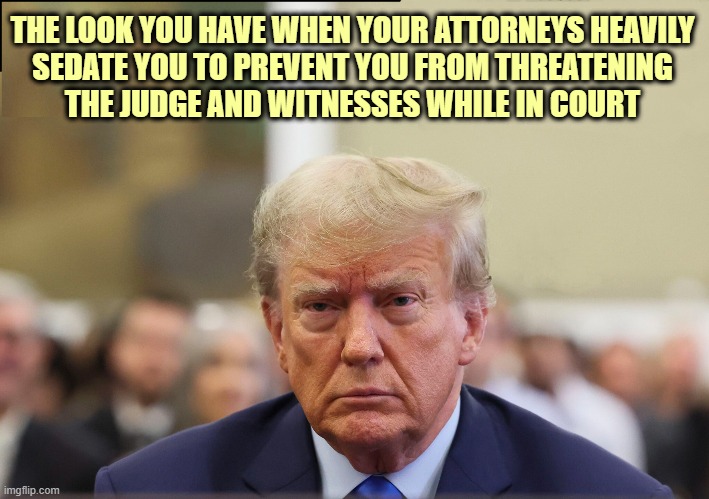 Benadryl or Valium? | THE LOOK YOU HAVE WHEN YOUR ATTORNEYS HEAVILY
SEDATE YOU TO PREVENT YOU FROM THREATENING
THE JUDGE AND WITNESSES WHILE IN COURT | image tagged in donald trump,fraud,trial,sedated | made w/ Imgflip meme maker