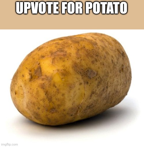 I am a potato | UPVOTE FOR POTATO | image tagged in i am a potato | made w/ Imgflip meme maker