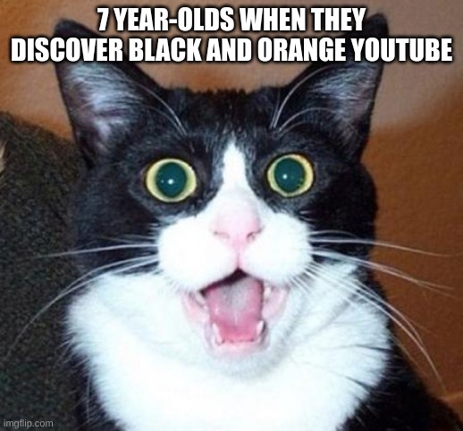 woah! they cant do that cant they? | 7 YEAR-OLDS WHEN THEY DISCOVER BLACK AND ORANGE YOUTUBE | image tagged in surprised cat lol | made w/ Imgflip meme maker