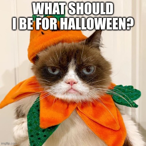Grumpy Cat Halloween | WHAT SHOULD I BE FOR HALLOWEEN? | image tagged in grumpy cat halloween | made w/ Imgflip meme maker