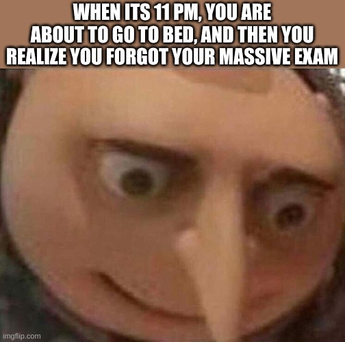 Has this happened to you recently | WHEN ITS 11 PM, YOU ARE ABOUT TO GO TO BED, AND THEN YOU REALIZE YOU FORGOT YOUR MASSIVE EXAM | image tagged in gru meme,noooooooooooooooooooooooo | made w/ Imgflip meme maker