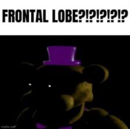 Frontal lobe!?!?!? | image tagged in frontal lobe | made w/ Imgflip meme maker