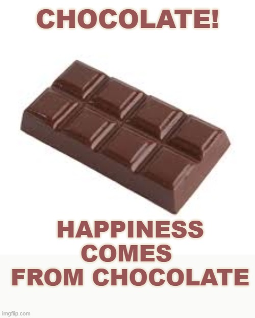 chocolate bar | CHOCOLATE! HAPPINESS COMES 
FROM CHOCOLATE | image tagged in chocolate bar | made w/ Imgflip meme maker