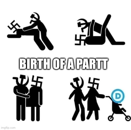 Demo | BIRTH OF A PARTT | image tagged in demo,memes | made w/ Imgflip meme maker