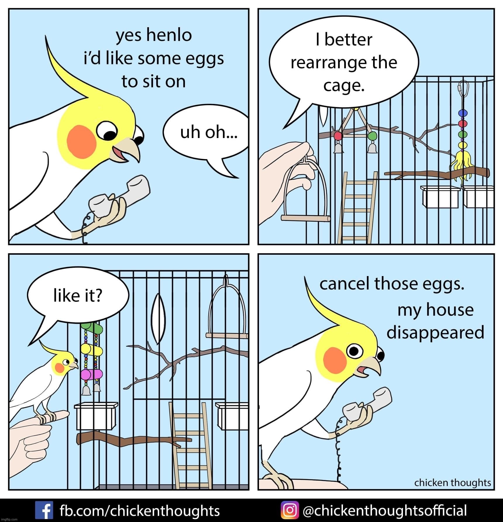 Chicken thoughts are back! <3 birb comic: the order | made w/ Imgflip meme maker