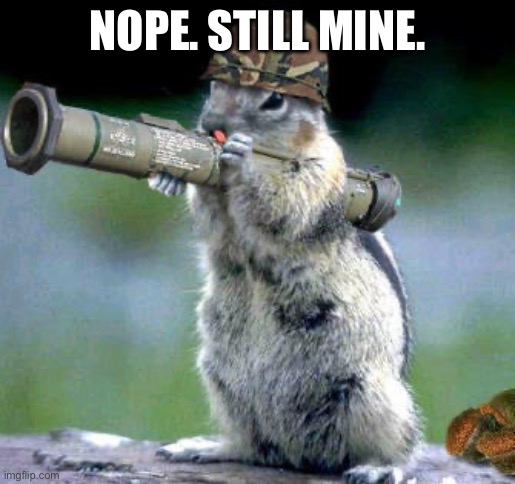 Bazooka Squirrel Meme | NOPE. STILL MINE. | image tagged in memes,bazooka squirrel | made w/ Imgflip meme maker