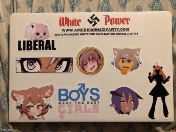 femboys are white supremacist nazis according to this; can relate | made w/ Imgflip meme maker