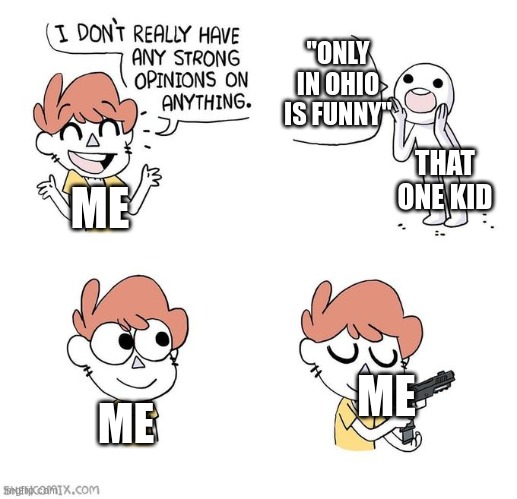 I don't really have strong opinions | "ONLY IN OHIO IS FUNNY"; THAT ONE KID; ME; ME; ME | image tagged in i don't really have strong opinions | made w/ Imgflip meme maker