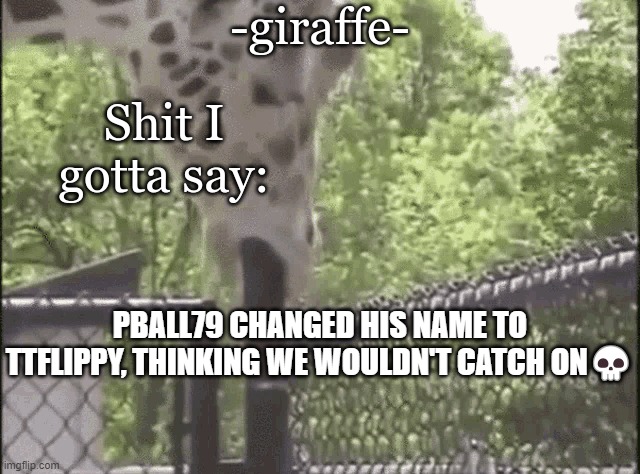 -giraffe- | PBALL79 CHANGED HIS NAME TO TTFLIPPY, THINKING WE WOULDN'T CATCH ON💀 | image tagged in -giraffe- | made w/ Imgflip meme maker