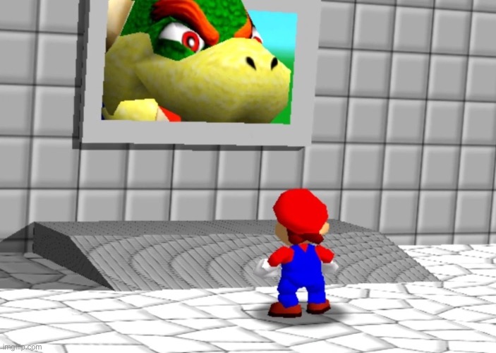 He watch | image tagged in the bowser room | made w/ Imgflip meme maker