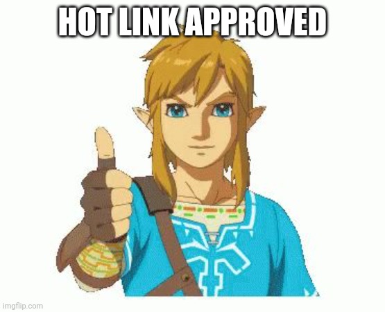 Link Thumbs Up | HOT LINK APPROVED | image tagged in link thumbs up | made w/ Imgflip meme maker