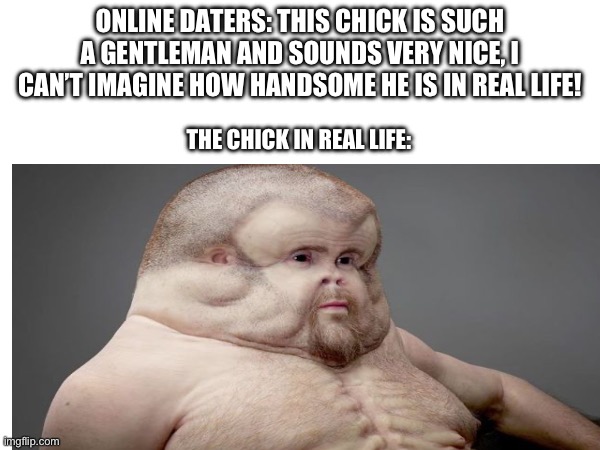 Online dating be like | ONLINE DATERS: THIS CHICK IS SUCH A GENTLEMAN AND SOUNDS VERY NICE, I CAN’T IMAGINE HOW HANDSOME HE IS IN REAL LIFE! THE CHICK IN REAL LIFE: | image tagged in online dating | made w/ Imgflip meme maker