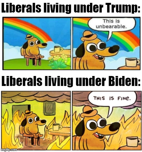 Liberals under Trump vs. Biden | Liberals living under Trump:; Liberals living under Biden: | image tagged in unbearable,this is fine,liberals,trump,biden | made w/ Imgflip meme maker