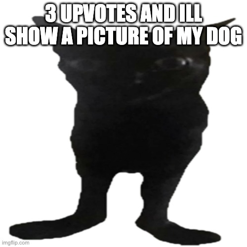 the | 3 UPVOTES AND ILL SHOW A PICTURE OF MY DOG | image tagged in dog | made w/ Imgflip meme maker