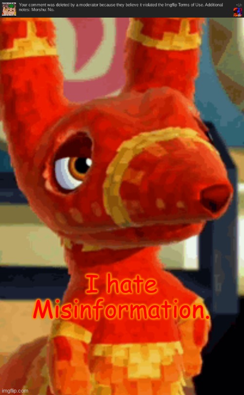 Misinformation | I hate Misinformation. | made w/ Imgflip meme maker