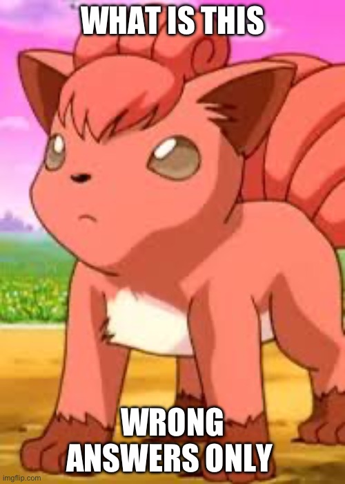 Vulpix | WHAT IS THIS; WRONG ANSWERS ONLY | image tagged in vulpix | made w/ Imgflip meme maker