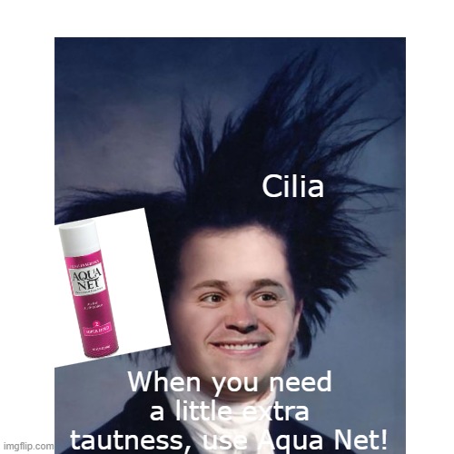 PSY454 Cilia | Cilia; When you need a little extra tautness, use Aqua Net! | image tagged in memes | made w/ Imgflip meme maker