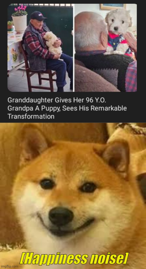 Puppy | image tagged in shibe,puppy,memes,wholesome 100,dogs,dog | made w/ Imgflip meme maker