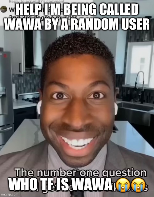 Sounds like a noise a baby would make | HELP I’M BEING CALLED WAWA BY A RANDOM USER; WHO TF IS WAWA 😭😭 | made w/ Imgflip meme maker