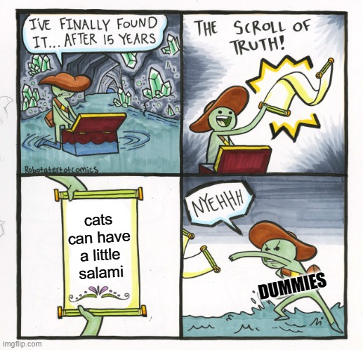 i dont know if this is true or not | cats can have a little salami; DUMMIES | image tagged in memes,the scroll of truth | made w/ Imgflip meme maker