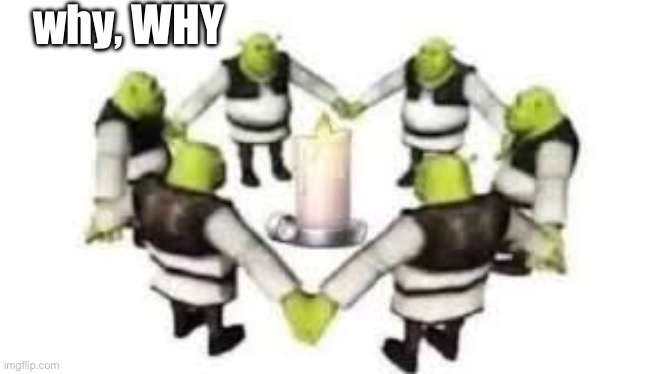 I love posing cursed images | why, WHY | image tagged in sus,shrek,shrek summoning a demon | made w/ Imgflip meme maker