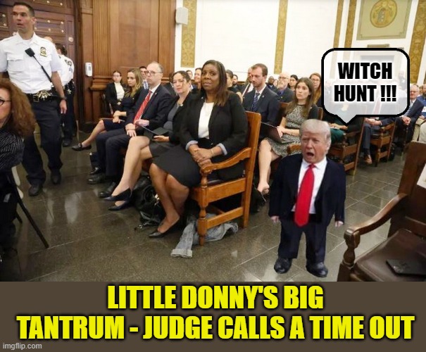National Embarrassment | WITCH HUNT !!! LITTLE DONNY'S BIG TANTRUM - JUDGE CALLS A TIME OUT | image tagged in donald trump is an idiot,trial,donald trump clown | made w/ Imgflip meme maker