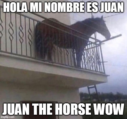 just shitposting see how popular juan can get | HOLA MI NOMBRE ES JUAN; JUAN THE HORSE WOW | image tagged in juan,shitpost,spanish,english,memes | made w/ Imgflip meme maker