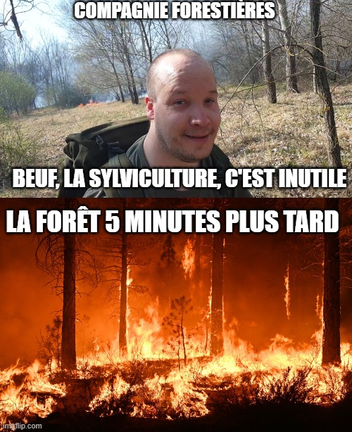 COMPAGNIE FORESTIÈRES; BEUF, LA SYLVICULTURE, C'EST INUTILE; LA FORÊT 5 MINUTES PLUS TARD | image tagged in guy burns forest,burning forest | made w/ Imgflip meme maker