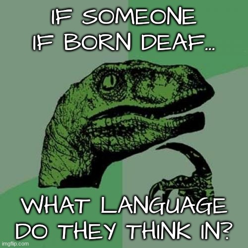 Good question | IF SOMEONE IF BORN DEAF... WHAT LANGUAGE DO THEY THINK IN? | image tagged in memes,philosoraptor | made w/ Imgflip meme maker