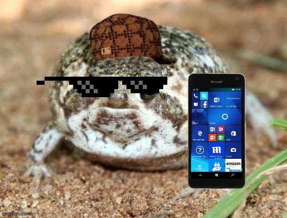 Froggo with a phone | image tagged in froggo,iphone,dragonz | made w/ Imgflip meme maker