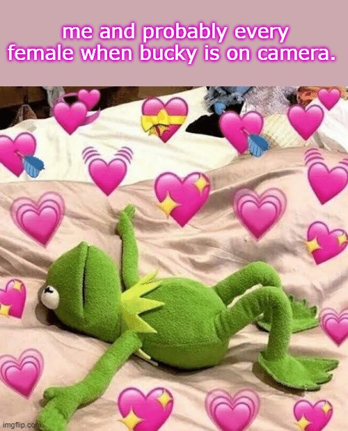 can any girls relate? call me a simp if you want lol | me and probably every female when bucky is on camera. | image tagged in kermit love,winter soldier,marvel,simp,lol,barney will eat all of your delectable biscuits | made w/ Imgflip meme maker