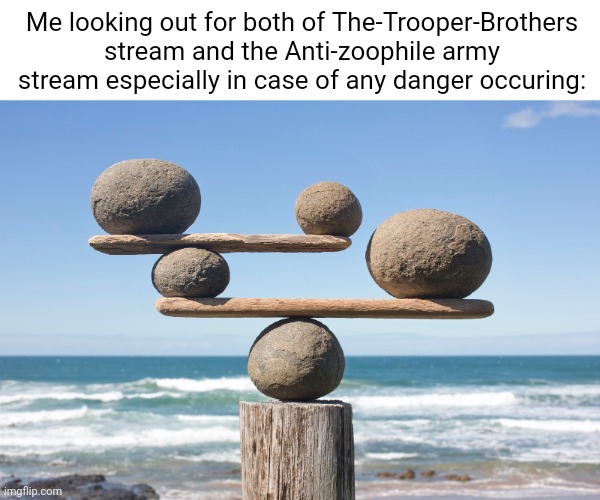 Balancing between streams | Me looking out for both of The-Trooper-Brothers stream and the Anti-zoophile army stream especially in case of any danger occuring: | image tagged in balance and harmony,troopers,trooper,memes,meme,lookout | made w/ Imgflip meme maker