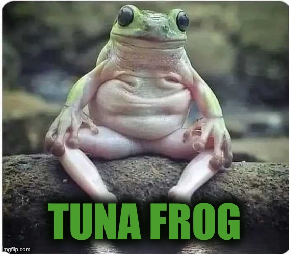 Frogbo | TUNA FROG | image tagged in frogbo | made w/ Imgflip meme maker