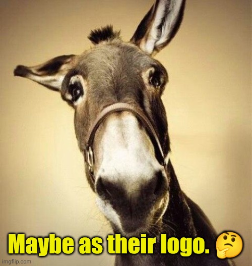 Mule | Maybe as their logo. ? | image tagged in mule | made w/ Imgflip meme maker