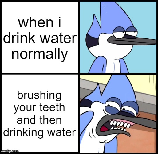 water | when i drink water normally; brushing your teeth and then drinking water | image tagged in mordecai disgusted | made w/ Imgflip meme maker