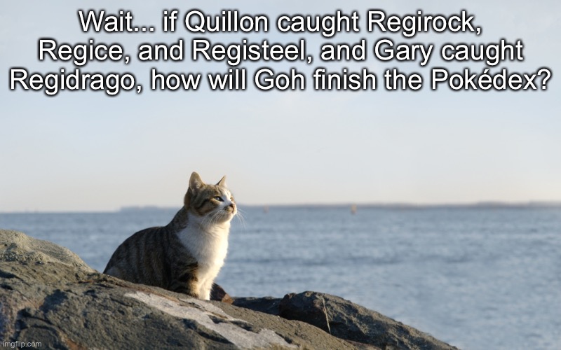 They’re all Legendaries | Wait... if Quillon caught Regirock, Regice, and Registeel, and Gary caught Regidrago, how will Goh finish the Pokédex? | image tagged in deep thinking cat,pokemon,deep thoughts,wait what | made w/ Imgflip meme maker