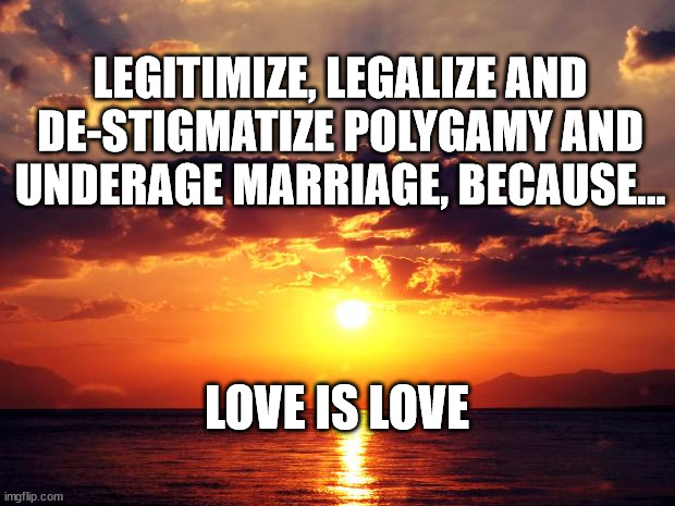 Sunset | LEGITIMIZE, LEGALIZE AND DE-STIGMATIZE POLYGAMY AND UNDERAGE MARRIAGE, BECAUSE... LOVE IS LOVE | image tagged in sunset | made w/ Imgflip meme maker