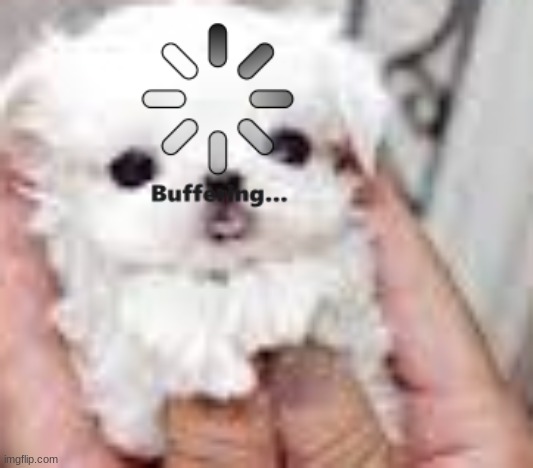 Cute doggo | image tagged in cute doggo | made w/ Imgflip meme maker