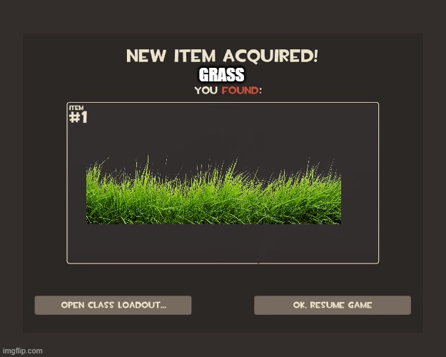 You got tf2 shit | GRASS | image tagged in you got tf2 shit | made w/ Imgflip meme maker