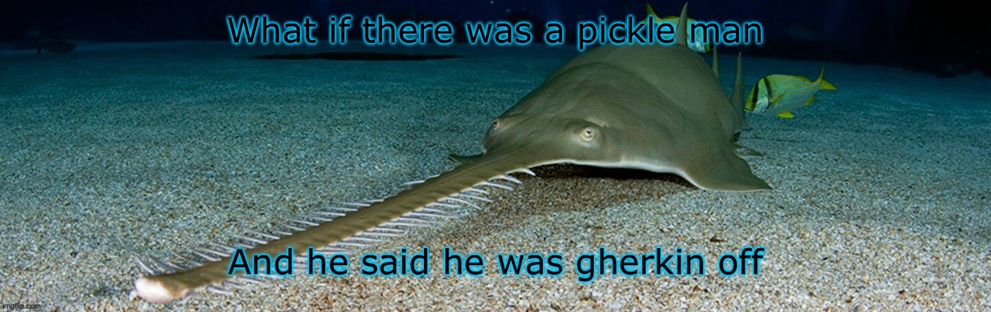 Cool sawfish | What if there was a pickle man; And he said he was gherkin off | image tagged in cool sawfish | made w/ Imgflip meme maker