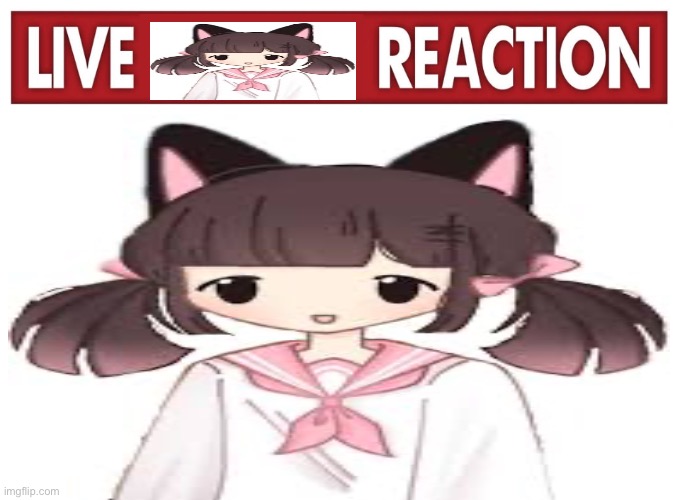 live meowbahh reaction | image tagged in meowbahh | made w/ Imgflip meme maker